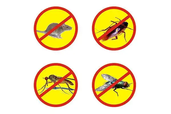 四害有什么危害,工厂进行四害防治该如何做|四害|工厂|蟑螂_新浪新闻