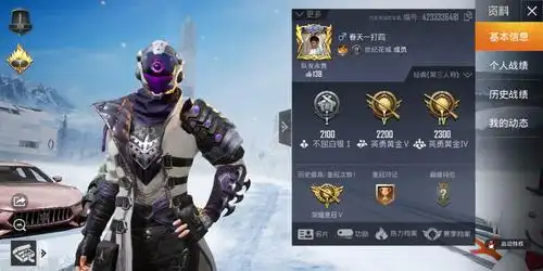 套装29枪皮25粉色玛莎拉蒂幻影战神等具体看描述|和平精英/安卓系统