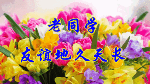 送给老同学!