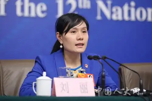 全国人大代表,厦门三度足浴有限公司职工刘丽回答记者提问