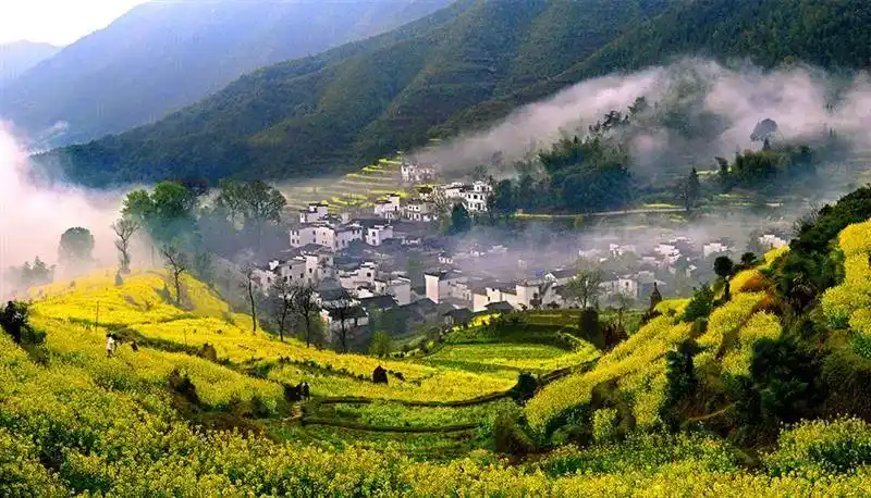 江西有个小城叫婺源这里有世间最美的春天