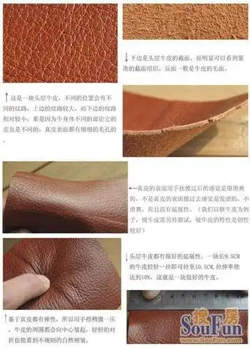 专家支招:如何辨别真假皮