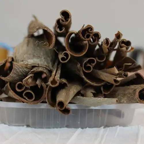 承德大山野生山核桃干树皮 晒干铁核桃皮 胡桃楸子皮 青龙皮包邮