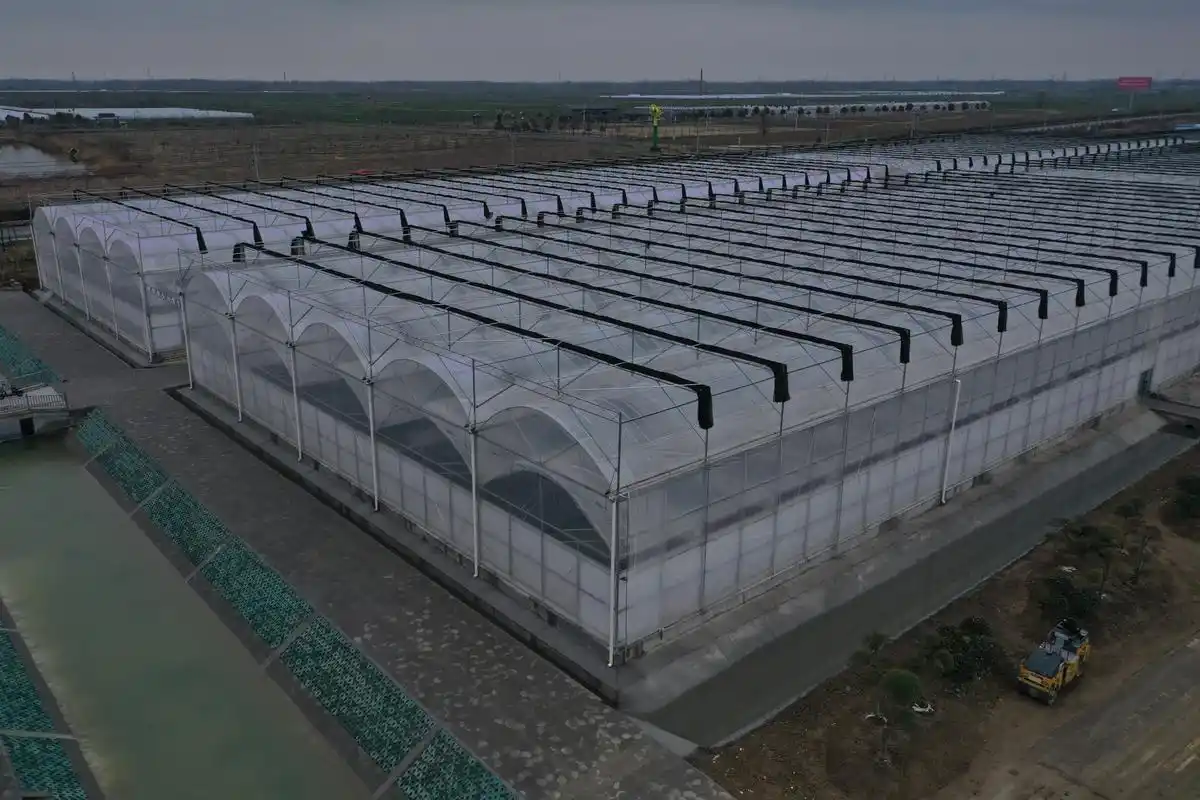 连体薄膜温室大棚,结构简单,安装方便,经济实用,棚内空间大,单位面积