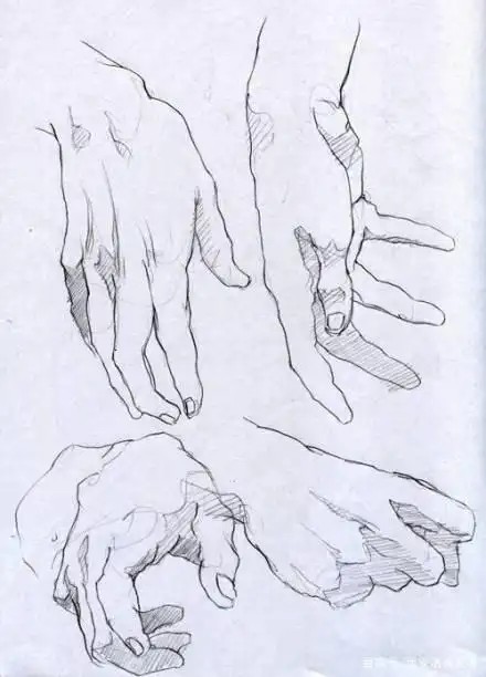 手部速写参考图