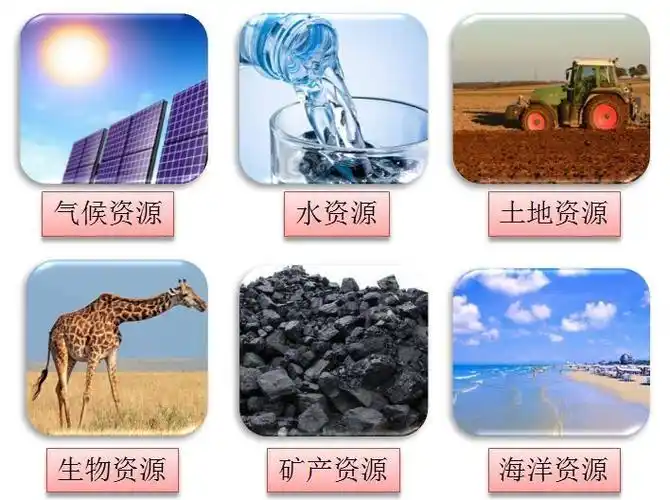 教材梳理044中国的自然资源1资源概况