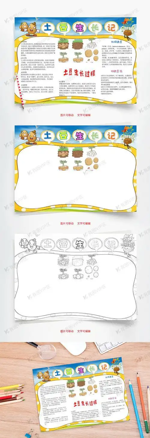 手抄报-酸辣土豆丝土豆的手抄报爱的手抄报