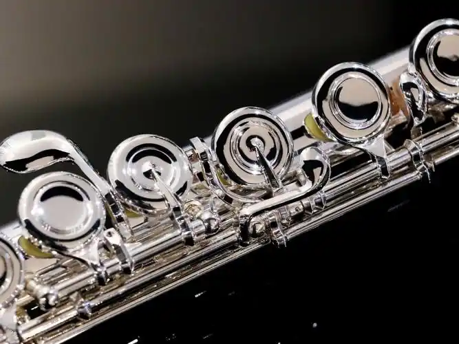 wilhsteinberg木管乐器长笛wfl380seu