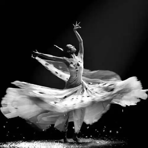 傣族是一个有着悠久历史的少数民族,地处我国的西南部,其舞蹈内容繁多