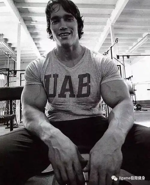 阿诺德施瓦辛格的健身宝典