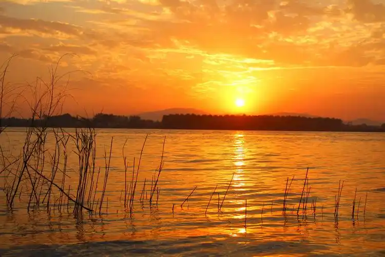 夕阳下,被渐渐落日余晖装扮的滨江公园,分外美丽.
