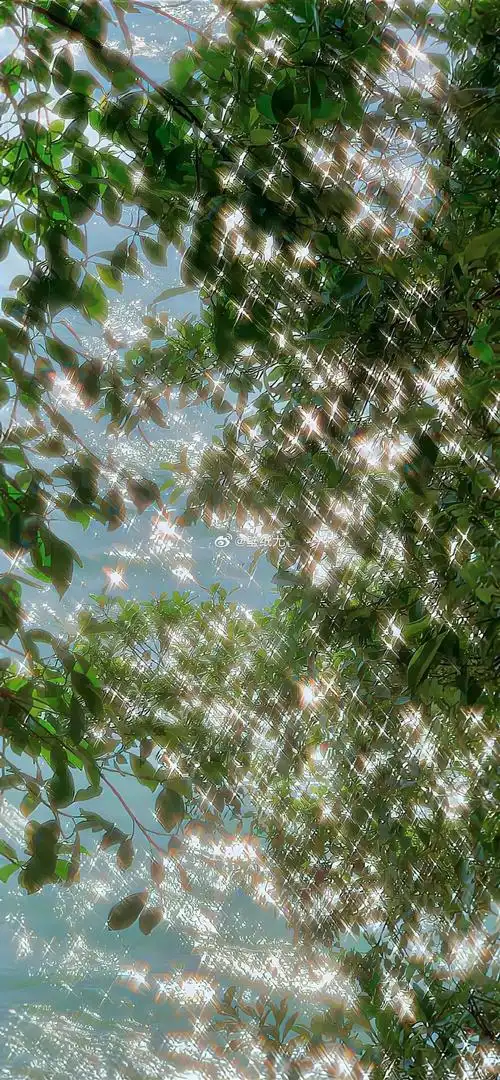 【图片编号 2537】爱护眼绿色手机壁纸呀#朋友圈背景图##ins手机壁纸