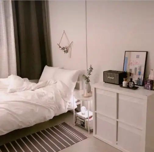 ins 房间 家具 风格