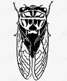 蝉简笔画蝉简笔画图片大全