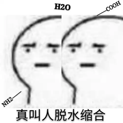 真叫人胶水缩合 - 斗图表情包 - 斗图神器 - adoutu.com