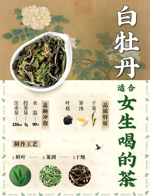 94白牡丹茶:落水成诗的仙子95