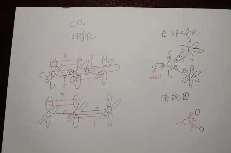 为什么co2和ch2o中心原子相同都是c,但杂化轨道数不同
