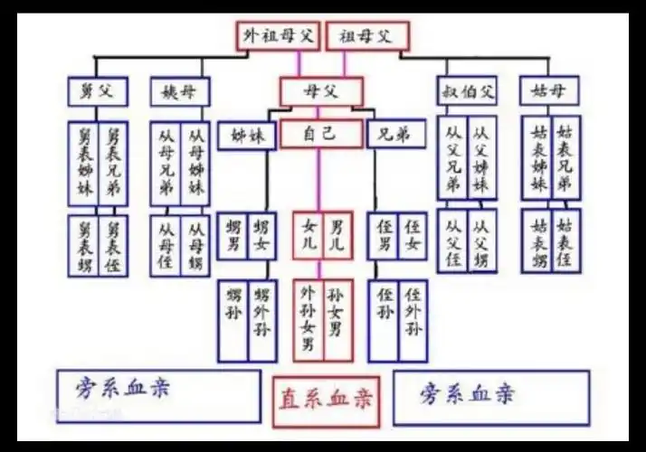 这个本宗九族五服图怎么看