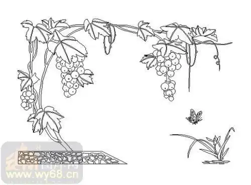 葡萄架简笔画步骤葡萄树怎么画 - 简笔画 - 懂得少儿简笔画葡萄架简笔