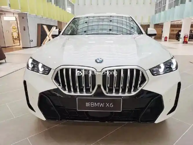 宝马x6 白色 咖啡内饰