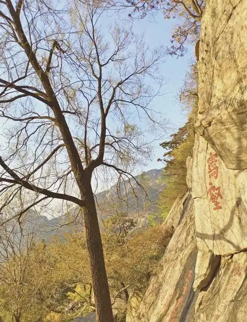 探秘天烛峰:泰山险峻之旅 ♂天烛峰,一条充满挑战的泰山登山路线,适合