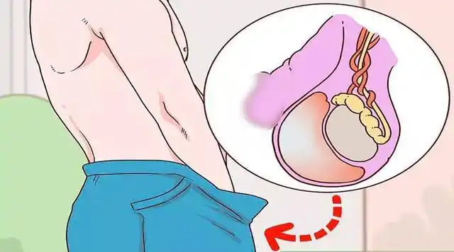 男人"蛋蛋"一高一低,一大一小代表「那方面」很强吗?