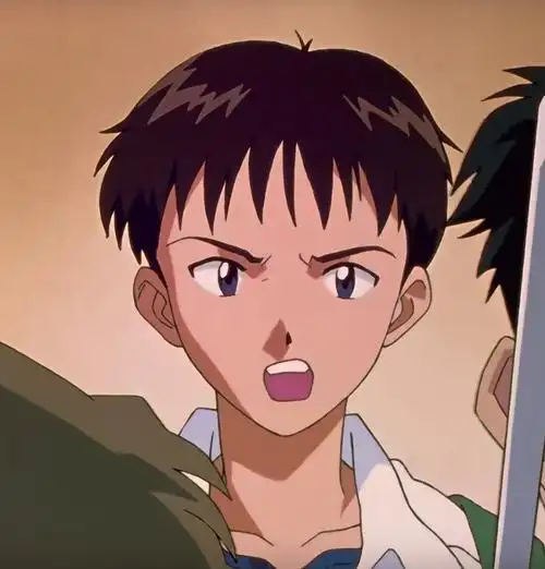 明日香 碇真嗣 eva