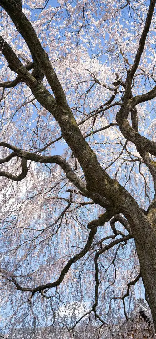 换上好看的手机壁纸