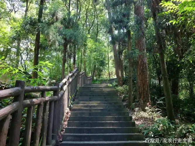678高地原点:重庆歌乐山森林公园(线路攻略指南)