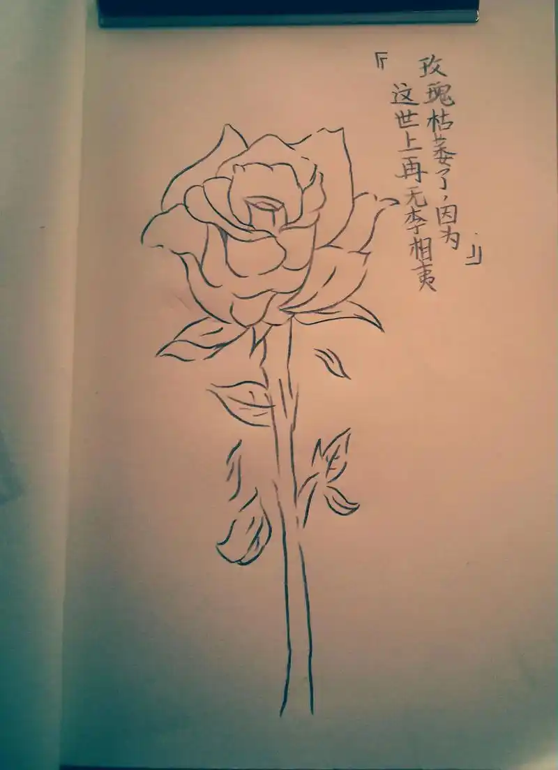 玫瑰花枯萎了,因为……这世上再无李相夷.#手绘 #临摹 - 抖音
