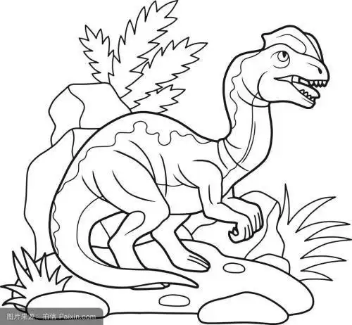 双冠龙恐龙简笔画