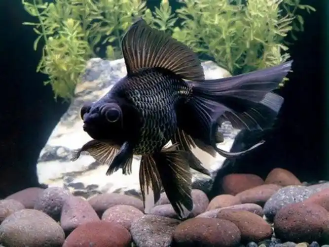 万利城游戏娱乐中心官方版下载