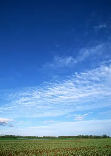 首页 高清图库 图片素材 自然/风景 >天空 大地 蓝天 白云 草地 千