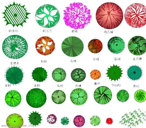 植物平面素材图片