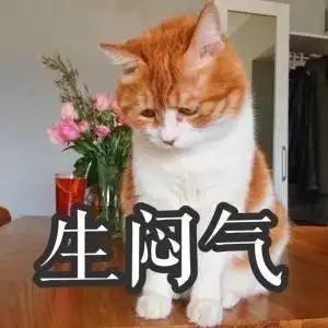 生闷气gif猫咪gif低头gif不开心gif