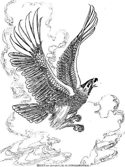 西游记大鹏精简笔画怎么画