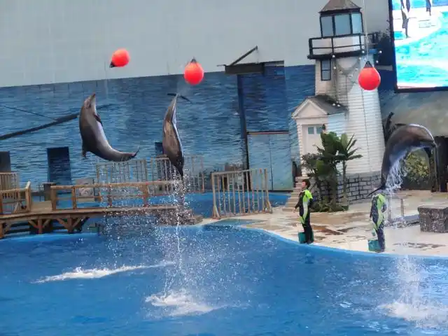 大连发现王国主题公园,青岛极地海洋世界,大连老虎滩四维电影院,重庆