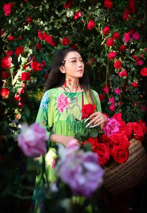 杨丽萍:孔雀迟暮