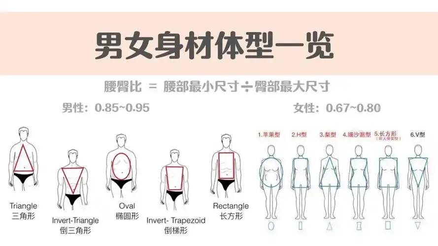 腰臀比计算公式