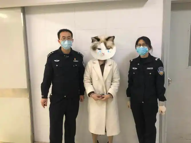 大亚湾公安破获2起利用疫情实施电信诈骗案件,抓获嫌疑人2名