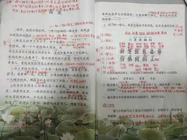 三年级语文下册第3课荷花课堂笔记练习题附答案请收藏