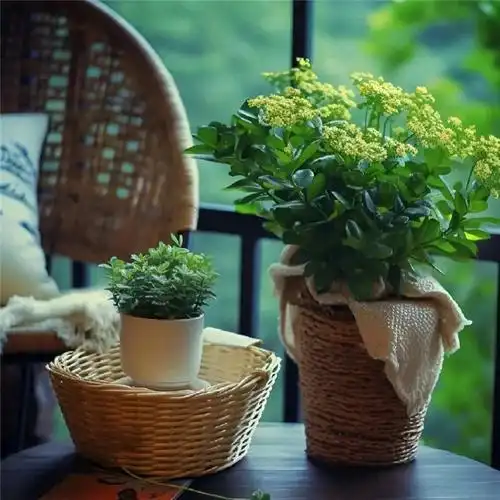 干净清新安静头像图片16张,纯净美好让人心境平静_微信头像_头像屋