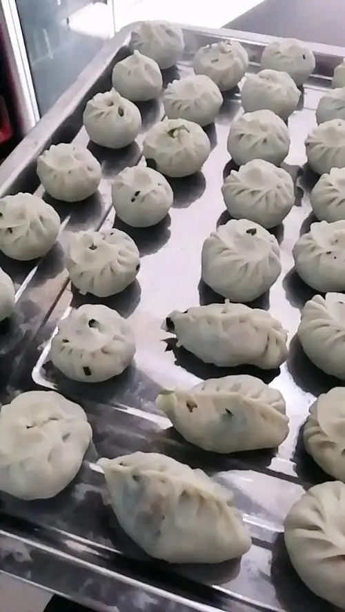 第一次用饺子皮包包子