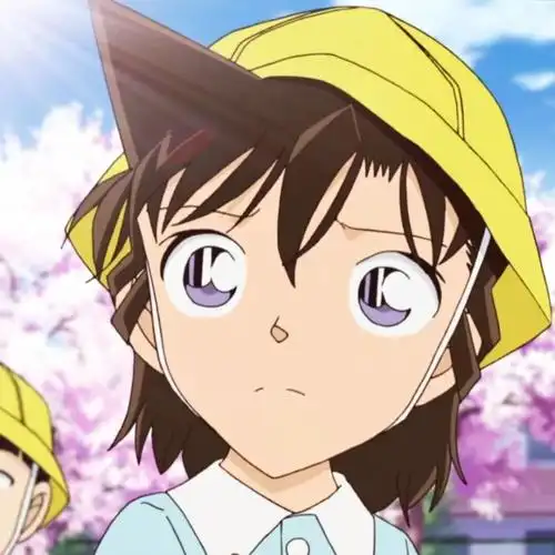 毛利兰名侦探柯南