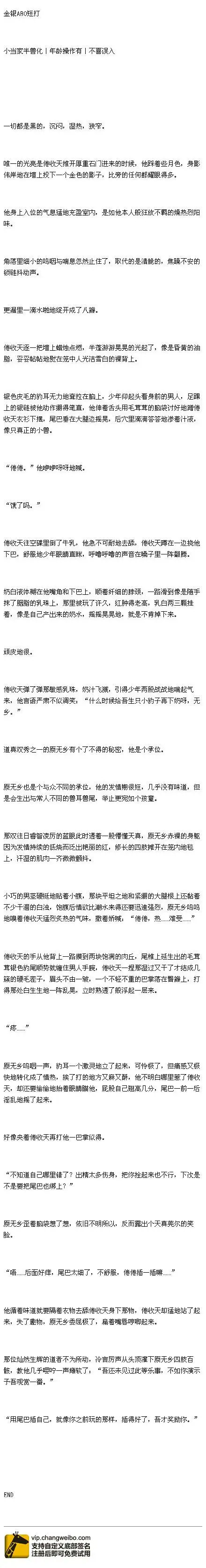 [霹雳][金银]短打肉段子