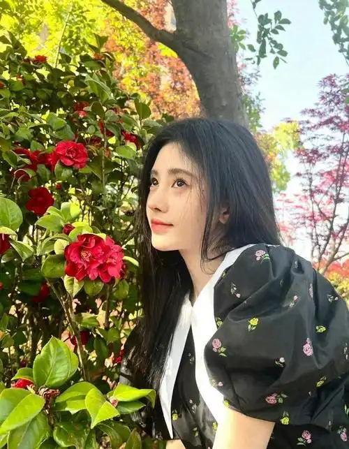 240219鞠婧祎如玫瑰般绽放粉丝热情赞美不断