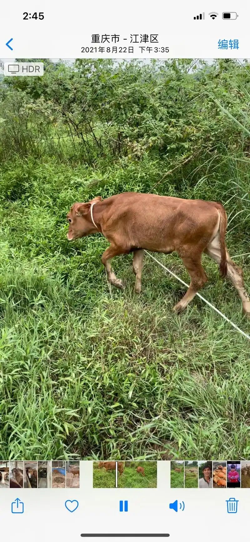 材料准备起,慢慢来,调整好状态,慢慢来!以后做人不能太容易善 - 抖音