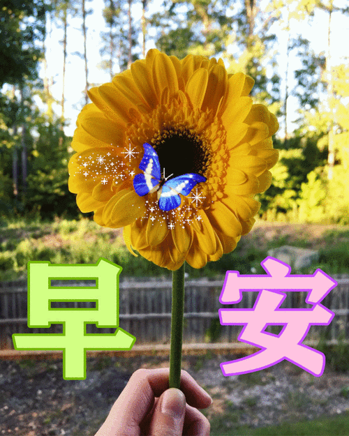 早安,朋友,真诚地祝愿你永远幸福平安!思念别人是一