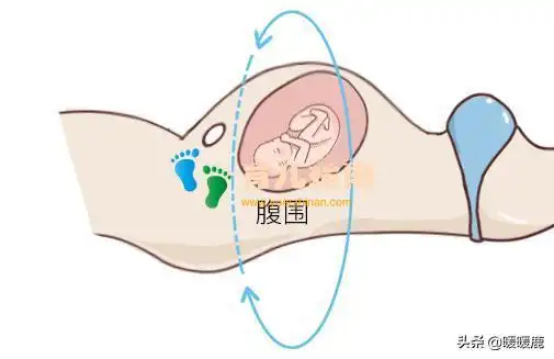 产检为什么要测量宫高腹围宫高腹围标准多少偏高偏低会怎样