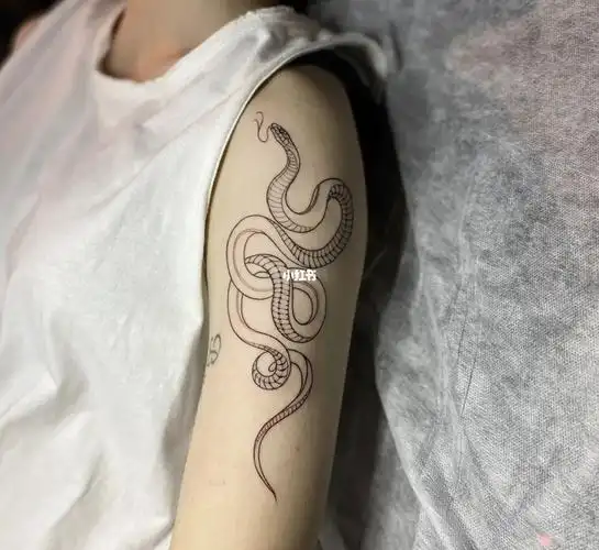 蛇纹身图案